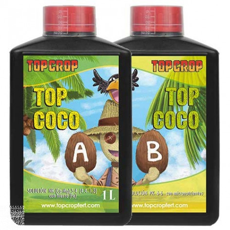 Top coco a+b top crop
