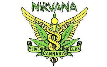 nirvana seeds
