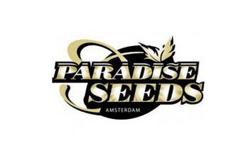 paradise seeds