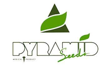 pyramid seeds
