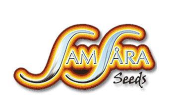 samsara seeds