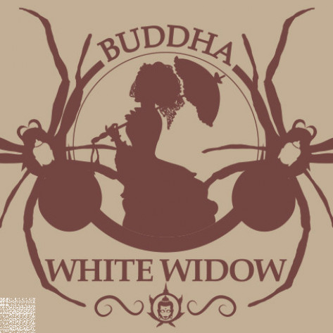 BUDDHA WHITE WIDOW BUDDHA SEEDS CLASSICS 1UN