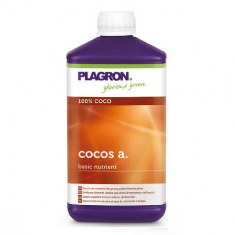 COCO A PLAGRON-31